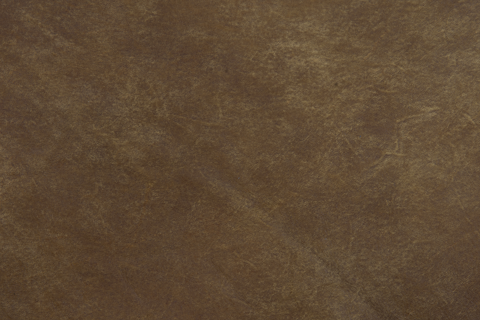 Foggia leer, cognac close-up